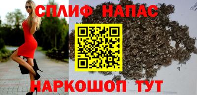 индика Моздок