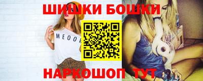индика Моздок