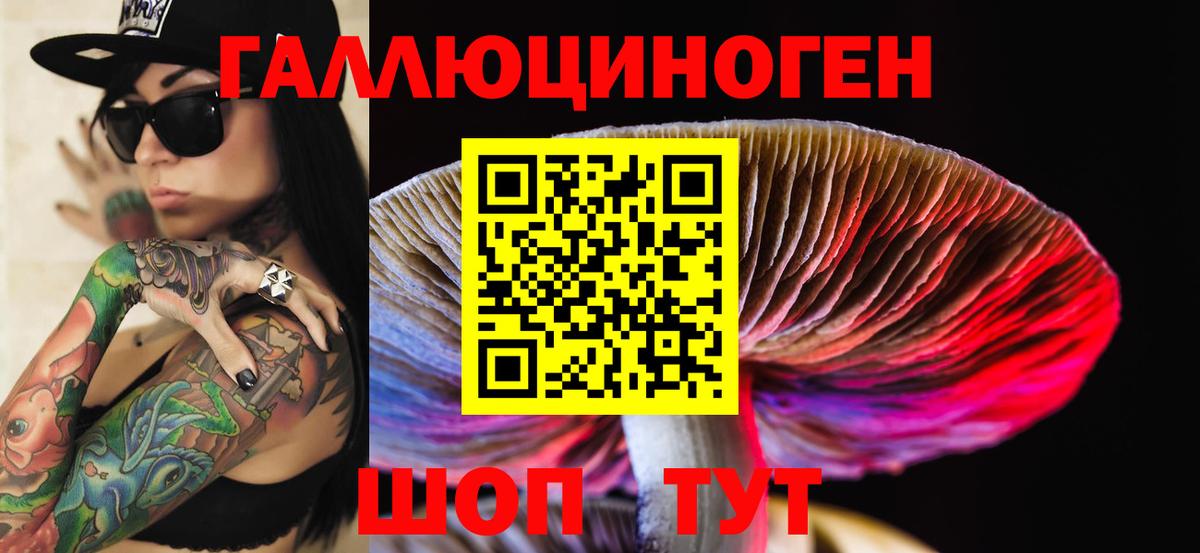 Псилоцибиновые грибы Cubensis  Вход с VPN  Топки  Галлюциногенные грибы GOLDEN TEACHER 